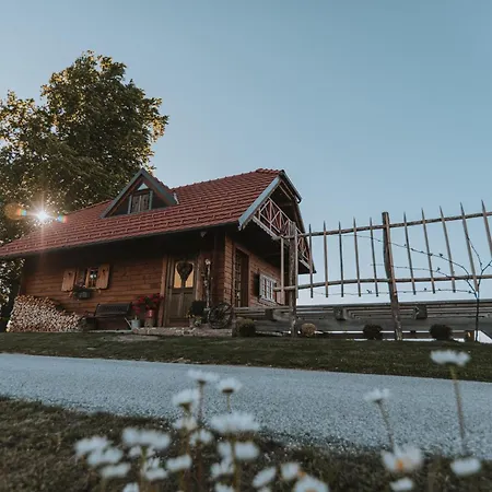 Brunarica Dezno Chalet