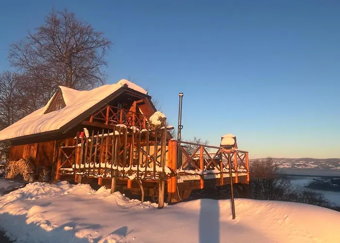 Brunarica Dezno Chalet *